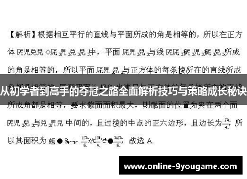 从初学者到高手的夺冠之路全面解析技巧与策略成长秘诀