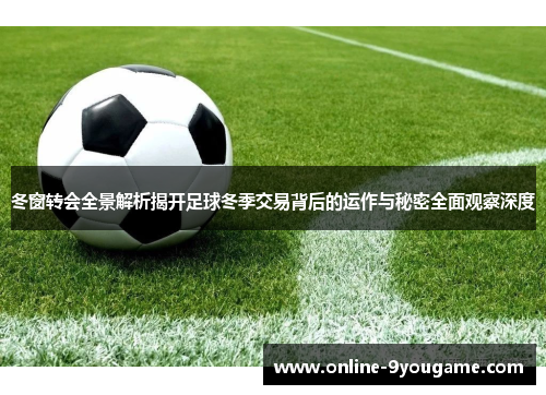 冬窗转会全景解析揭开足球冬季交易背后的运作与秘密全面观察深度
