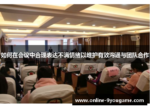 如何在会议中合理表达不满情绪以维护有效沟通与团队合作