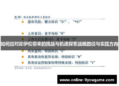 如何应对霍伊伦带来的挑战与机遇探索战略路径与实践方向